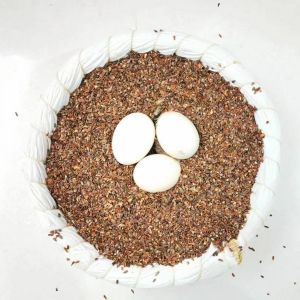 Dust-Free Fermented White Seed Shell Bedding for Rabbits Guinea Pigs Hamsters Golden Retriever Puppies Other Small Pets