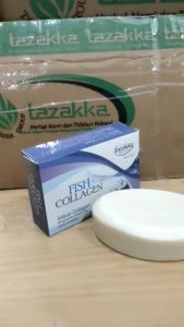 Sabun Mandi Batang Alami Terbaik Fish Collagen Herbal Tazakka