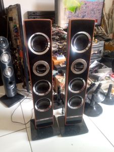 SPEAKER PASSIV POLYTRON SERIES SILVER/COKLAT BISA UNTUK PAM MINI AMPLIFER DAN PMA