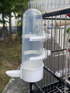 For Birds Water Fountain Bird Drinking Cup Parrot Automatic Feeding Bowl Chin White Eye Starling Xuanfeng Automatic Water Feeding Tableware