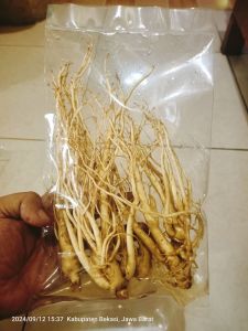 Gingseng merah Korea original asli