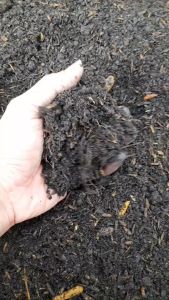 ดิน 🌈 ดินพร้อมปลูก ใช้สำหรับปลูกพืชผัก ไม้ดอกไม้ประดับ และต้นไม้ทุกชนิด หนัก 950 กรัม / 2.9 กิโลกรัม  ราคา ✅ 7 / 18 บาท