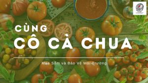 [ 500ml ] NƯỚC RỬA CHÉN THIÊN NHIÊN CÔ CÀ CHUA YÊU NƯỚC AN TOÀN BẢO VỆ DA TAY YN