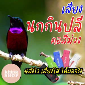 เสียงต่อนกกินปลีคอสีม่วง เมมเสียงต่อนกกินปลีคอสีม่วง แฟลชไดร์ฟเสียงต่อนกกินปลีคอสีม่วง มีเก็บเงินปลายทาง
