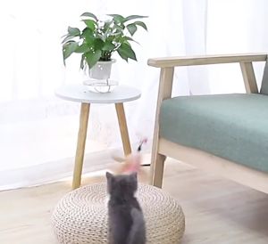 Cat Teaser Pet Cat Puppy Teaser Bell Feather Retractable Stick Rod Funny Interactive Toy