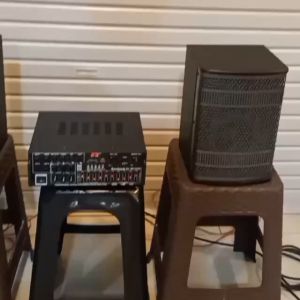 Original Speaker Pasif Black Panther 6.5 Inch Harga 1 Pasang