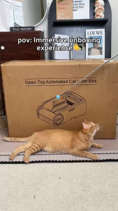 Pokpaw Automatic Cat Litter Box Self Cleaning for Large Cats Easy Access with Tuya APP & 1 Year Warranty