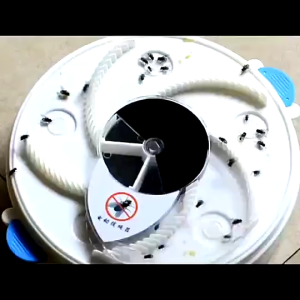 Máy Bắt Ruồi Tự Động Thông Minh Máy Bắt Ruồi Chạy Điện Không Dùng Hóa Chất Thân Thiện Với Môi Trường An Toàn Cho Con Người