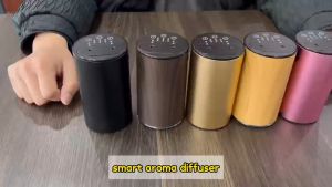 Waterless Rechargeable Double Nozzle Essential Oil Diffuser Nebulizer 10ML