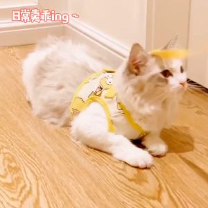 Bộ dây dắt cho Chó Mèo kèm yếm có hoạ tiết tông vàng - Love Pets Shop