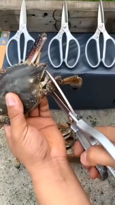 Gunting Dapur SK5 JAPAN Tajam Kuat Tebal Stainless Potong Daging Kitchen Shear Serbaguna