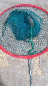 สวิงช้อนปลา ตาถี่ ทรงลึก เก็บเงิน ปลายทาง