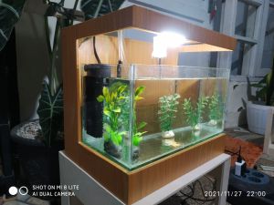 display kabinet akurium mewah harga murah fulset dengan kucuran