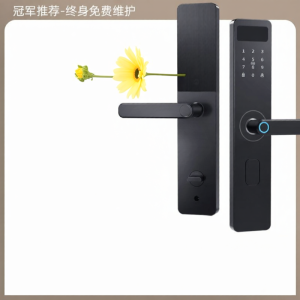 KANGTING | Smart Fingerprint and Keypad Lock with Key