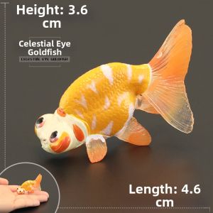 MENGSILE | Realistic Animal Toy Model Ornamental Fish Cognitive Gift Decorations
