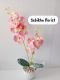 Sebikha florist