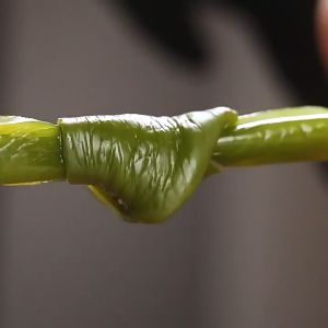 超友味-海带结-鲜爽香辣味 150G Yo!Man-Kelp Knot-Fresh Spicy Flavor 150G
