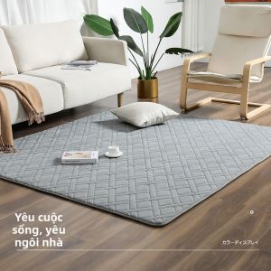 Thick Floor Mat
