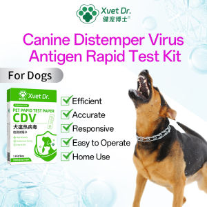 Xvet Dr ชุดทดสอบสัตว์เลี้ยง CDV CPV CCV RBV กระดาษทดสอบสำหรับเขี้ยวสุนัข Distemper ไวรัสแอนติเจนชุดทดสอบชุดทดสอบเร็ว