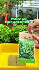 INFARM-Benih Bibit Super Daun Seledri Benih Daun Seledri Bibit Daun Seledri Biji Daun Seledri Infarm
