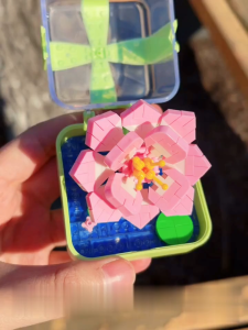 Bộ đồ chơi lắp ráp mô hình 3D DIY Hộp quà hoa vĩnh cửu | Baystore