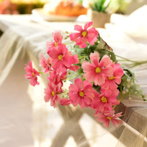 Bó Hoa Nhựa Phong Cách Tươi Mới Bó Hoa Dại Hoa Cúc Nhỏ Bộ Trang Trí Bàn Ăn Phụ Kiện Chụp Ảnh Đồ Dùng Trang Trí Nhà