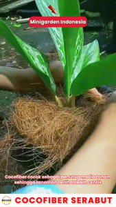 SABUT KELAPA 1KG COCOFIBER serabut kelapa coco fiber media tanam hias