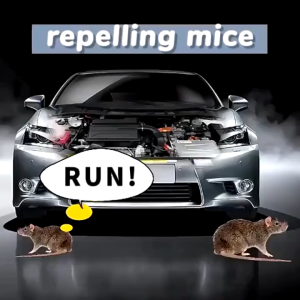 Car rat repellent spray 500ml rats spray killer rat killer plant extraction safe and non-toxic - DailyDwell1