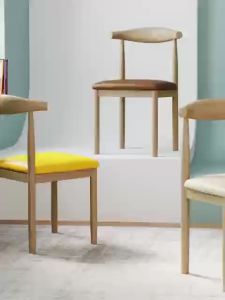 Accent Chair Dining Chair Home Chair Backrest Chair Leisure Chair Steel Chair Wooden Texture