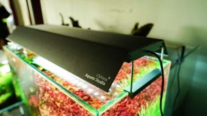 CHIHIROS LIGHT SHADE FOR WRGB II SERIES RGB VIVID MINI SERIES AND RGB VIVID II SERIES AQUARIUM LIGHT SHADE ONLY ACCESSORIES