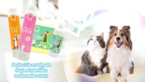 O2 NATURE CAT โอทู แชมพู สำหรับแมว 200/500 มล. สกัดจากธรรมชาติสูตรอ่อนโยน เหมาะสำหรับแมวทุกชนิด