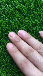 🌿พืนคอนกรีตปูโดยตรง GUTAT หญ้าเทียม หญ้าปลอม ทนไฟไม่หดตัว 1x1เมตร(1㎡)-2×25เมตร(50㎡)หญ้าสูง:1.5ซม - 4ซม ตกแต่งสวน หญ้าเทียมถูกๆ Artificial grass สีเหมือนจริง นุ่มนิ่ม สีไม่ซีด มีรูระบายน้ำ