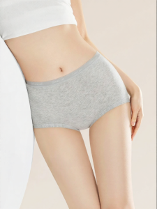 Baisina | Antibacterial Cotton Ladies Briefs Summer Lightweight