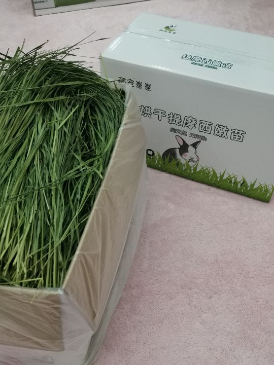 View of Timothy Rabbit Hay Dry Young Shoots Guinea Pig Food Pig Main Food Cat ...