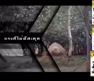 มอเตอร์ปั้มแบบเกลียว 10.8บาร์ มอเตอร์ปั้มเดี่ยว ยักษ์ พ่นแรง พ่นไกล พ่นหมอก พ่นยา เครื่องพ่นยาแบตเตอรี่ สินค้าพร้อมส่ง