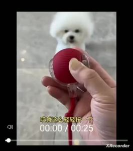 自动遛狗球狗玩具球耐咬宠物逗狗狗神器狗球小狗跳跳球突突球消耗