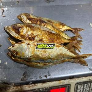 Ikan Asin Peda Merah kecil