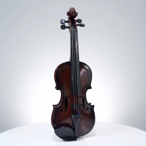 ammoon Snnozy Mô Phỏng Violin Thực Hành Âm Nhạc Đàn Violin Cho Người Mới Bắt Đầu Bộ Đàn Violin Nhạc Cụ Tay Nghề Tinh Tế Đạo Cụ Biểu Diễn Quà Tặng Dây Có Thể Điều Chỉnh