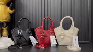 túi xách tay + đeo chéo nữ size 21cm*9cm chio