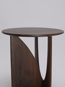 Nordic Round Solid Wood Side Geometric Designer Corner Table Black Simple Coffee Sofa Side Table