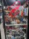 Berlincloth