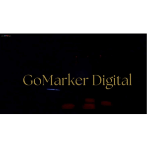 GO llumsolid Lampu Sorot LED 30W Outdoor Waterproof Spotlight RGB EU Plug DMX512 240V YS-P01