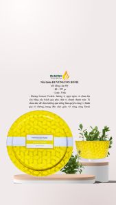 thơm phòng ngủ Huntington Home 397gr hương Cookie