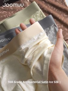 Joomuu | Cool Ice Silk Men Underwear Trunks