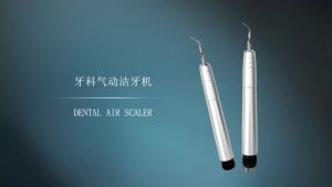 Niceden | Dental Ultrasonic Air Scaler with 3 Tips Tooth Calculus Remover Cleaning Tool Handpiece Whiten 2Holes/4 Holes Tooth Cleaner