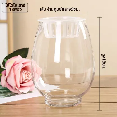 Jiaxu | แจกันปลูกพืชแบบไฮโดรโพนิกส์ใสและหนา