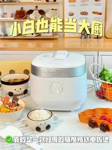 Thermos | Pure Titanium Lining Large Capacity Slight Pressure Multifunctional Electric Rice Cooker