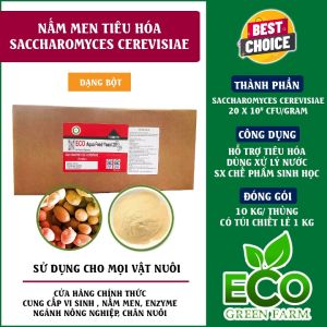Thùng 10kg Men Tiêu Hóa Saccharomyces Cerevisiae Bột Sử Dụng Trộn Thức Ăn Tôm Cá Hàng Nhập Khẩu