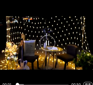 Dây Đèn LED Màng Lưới 3x2m (Sáng Vàng) Dùng Trang Trí Nhà Hàng Quán Cà Phê Tiệc Cưới