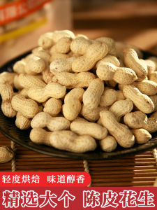 New Stock Zhangping Chrysanthemum Peanuts with Shell Snacks Special Crispy Baked Goods from Heyuan Guangdong 500g Bag